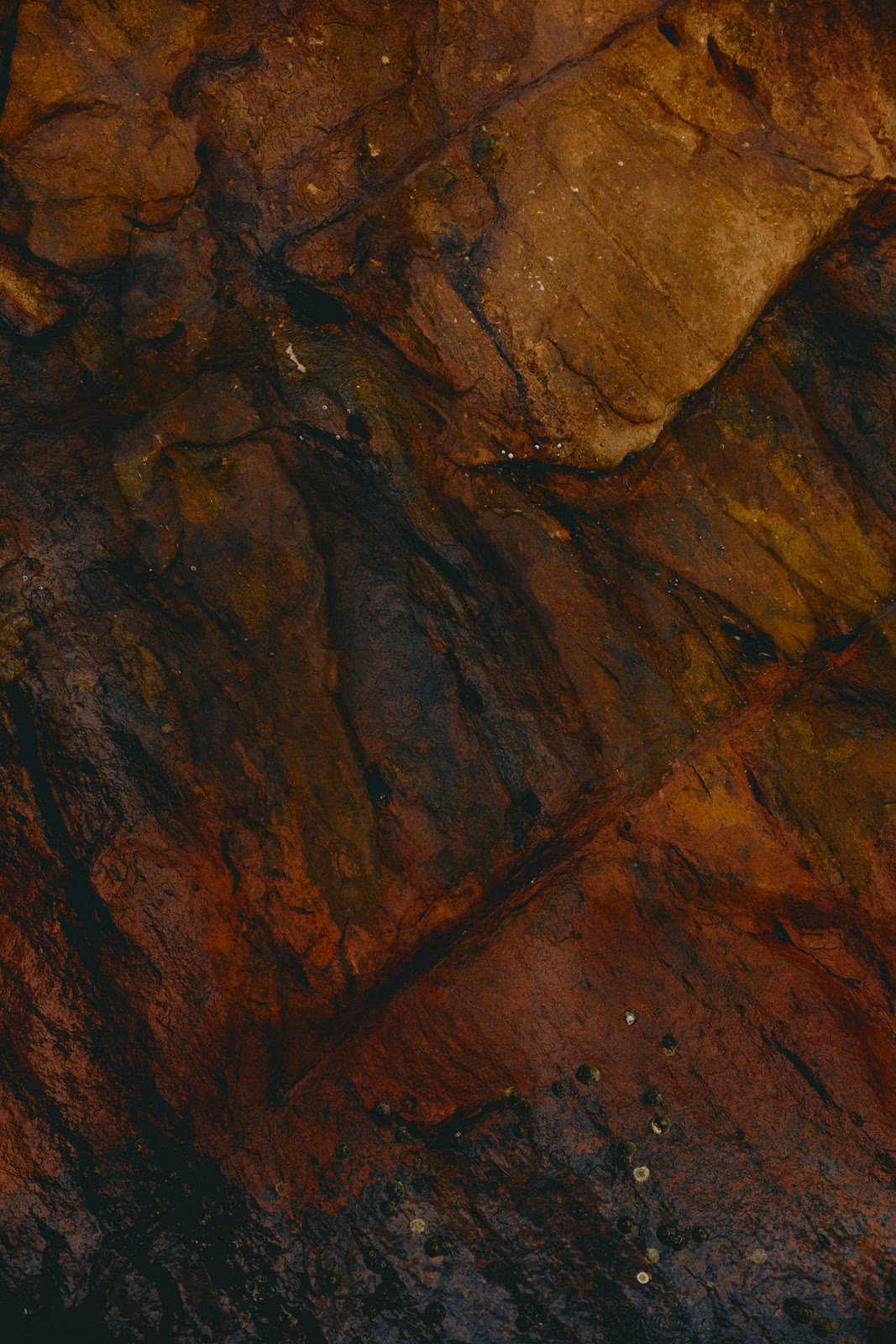 A close view of wet coastal rock in rust, ochre and deep brown, crossed by straight diagonal seams. Small barnacles and shells dot the darker surface near the bottom of the frame.
