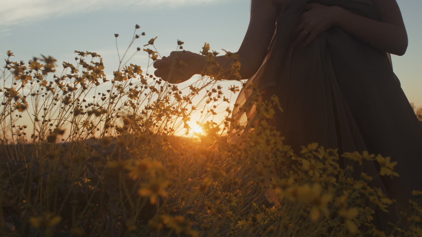 Low sun lights a field of small yellow wildflowers from behind. A person in a long, loose dark dress stands among them, one hand at their waist and the other reaching out to touch the flower heads. The sun sits on the horizon, a bright gold point between the stems.