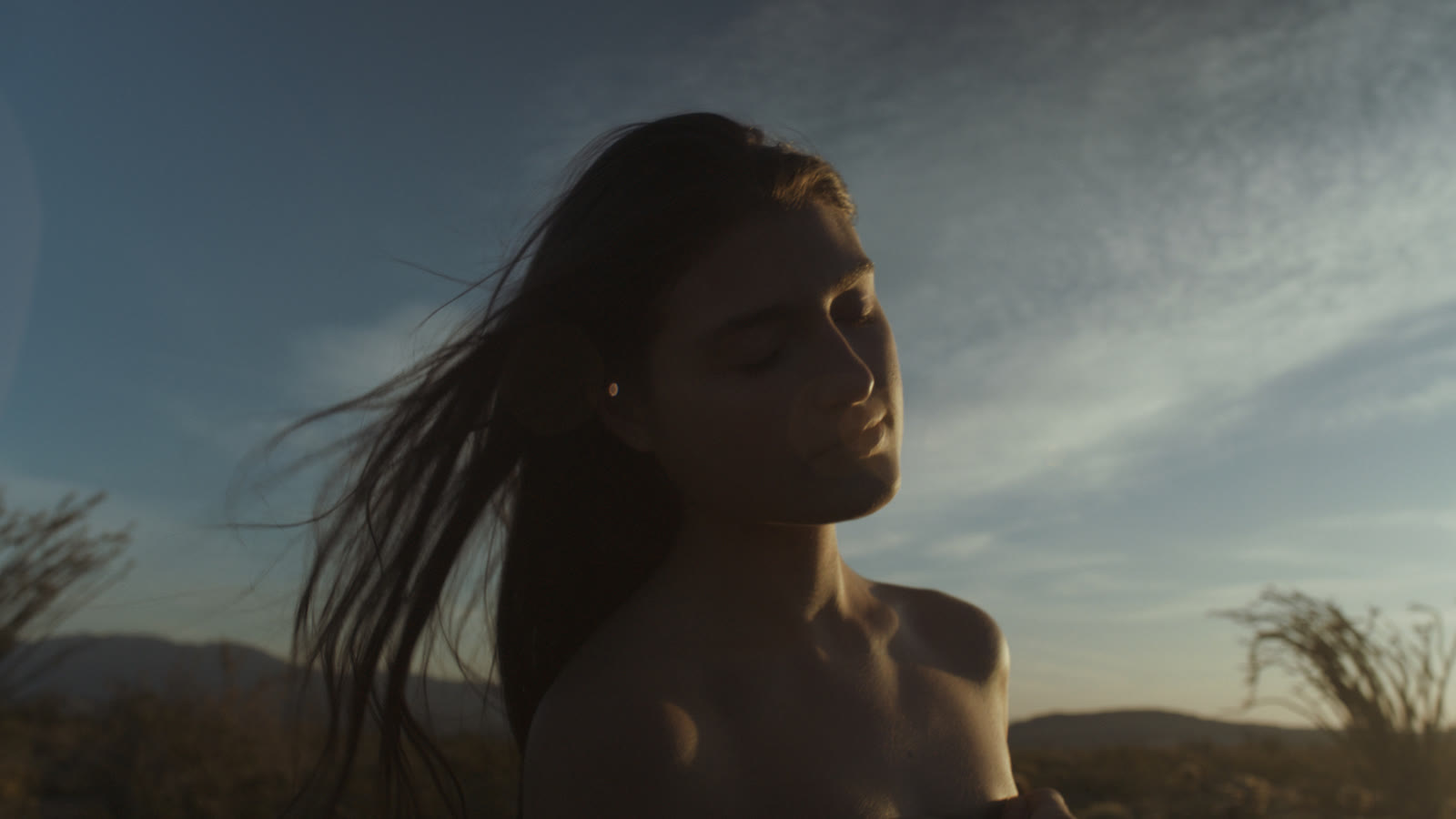 A person stands in a desert at golden hour, eyes closed, face lifted slightly toward the light. Their long dark hair lifts in the wind across a deep blue sky streaked with thin cloud. Warm light catches their cheek, chin and collarbone; low hills and spindly shrubs sit dark along the horizon.